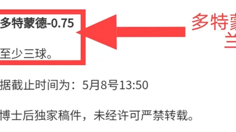 Netflix独树一帜犯罪剧哥本哈根牛仔解析